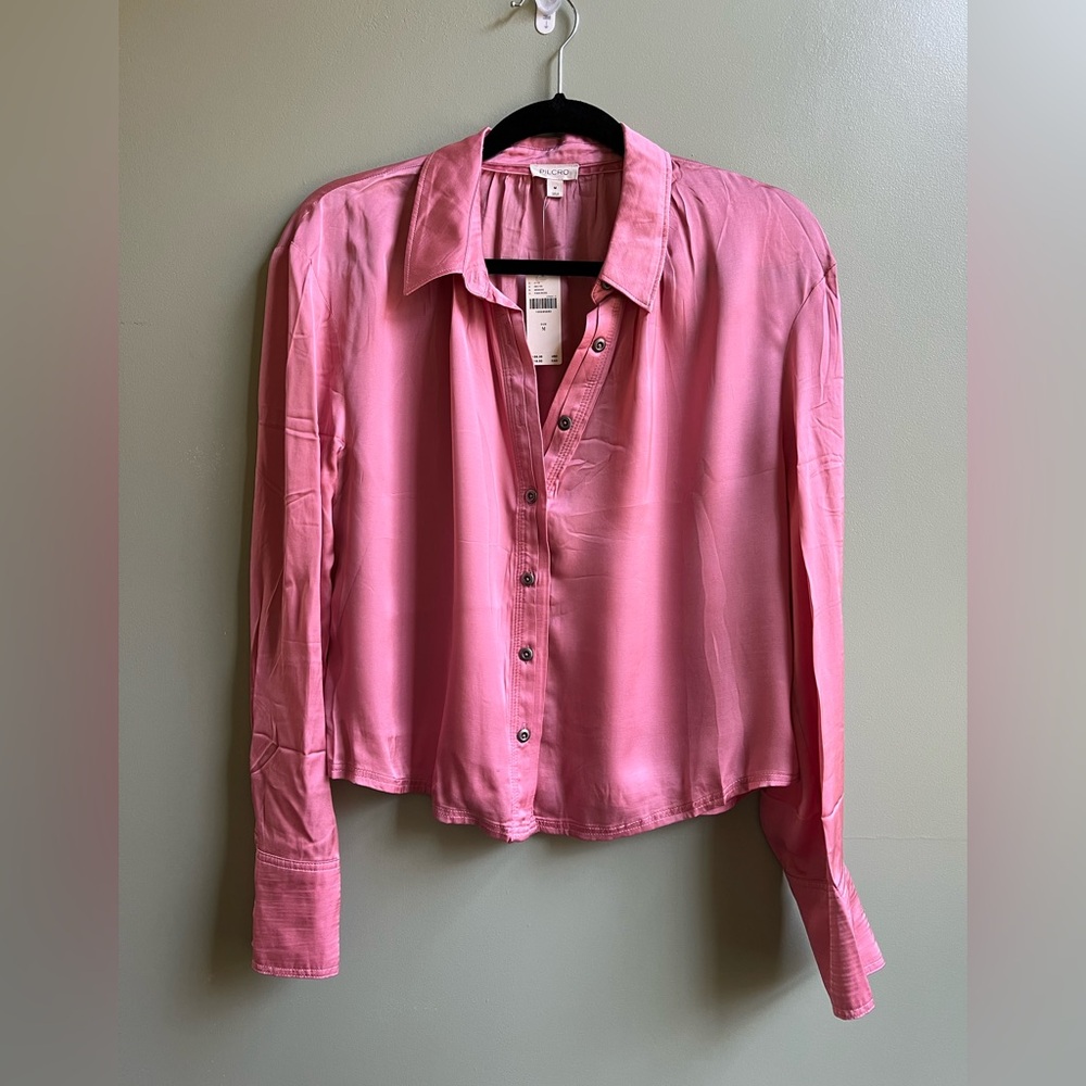 Pilcro Dusty Pink Button Down
